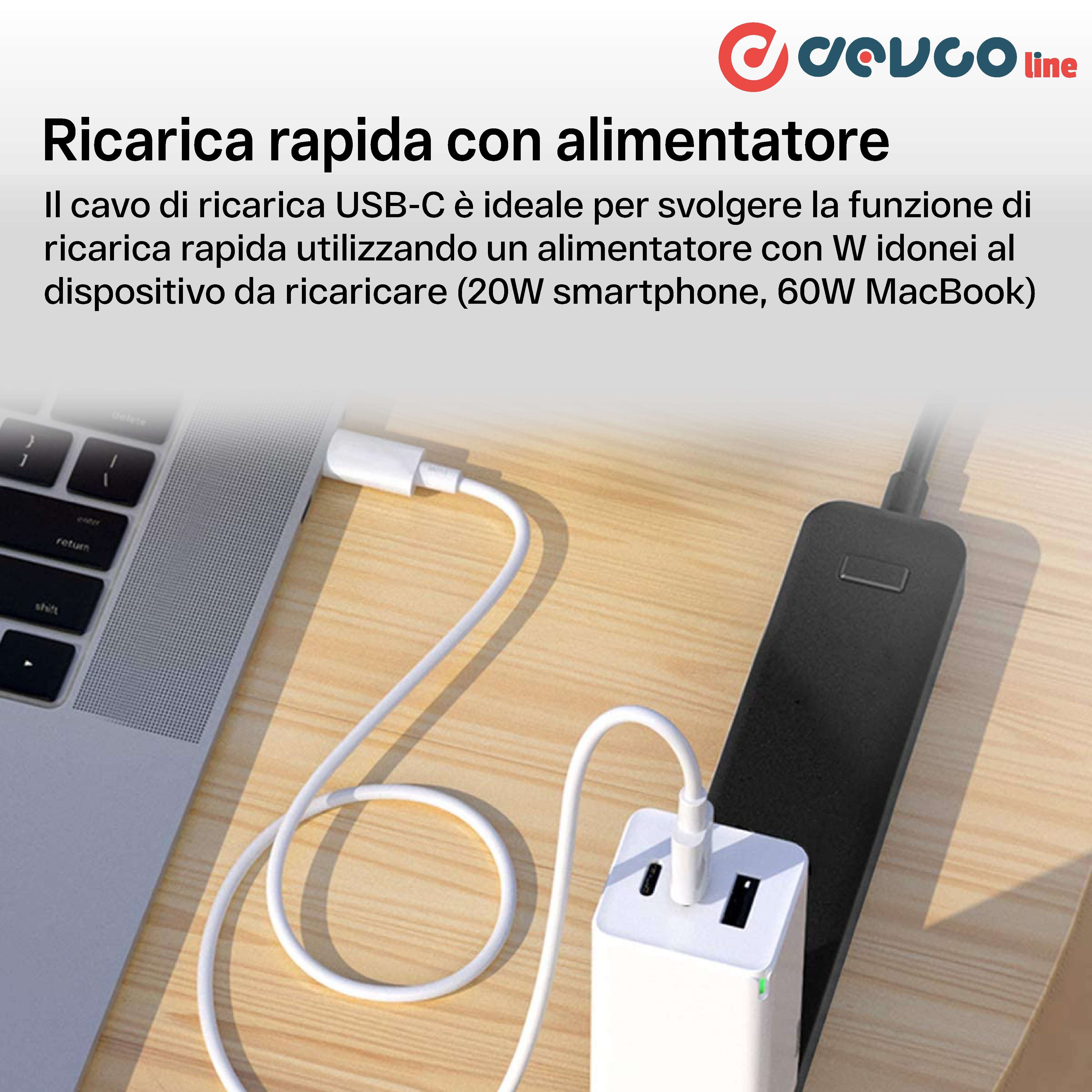 Cavo USB due connettori USB-C 2 metri - DEVCOline  AT CR 2TC2